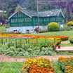 Ooty