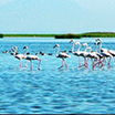 Chilika Lagoon