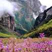 Valley of Flowers