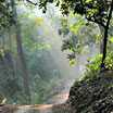 Jim Corbett