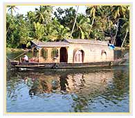 Kerala Exotic Tour, Backwater