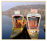 Shikaras of the Dal Lake