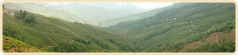 Darjeeling