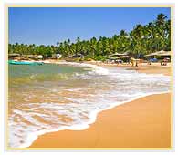 Anjuna Beach, Goa