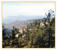 Hills, Shimla