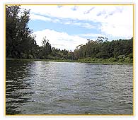 Ooty Lake