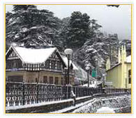 Shimla