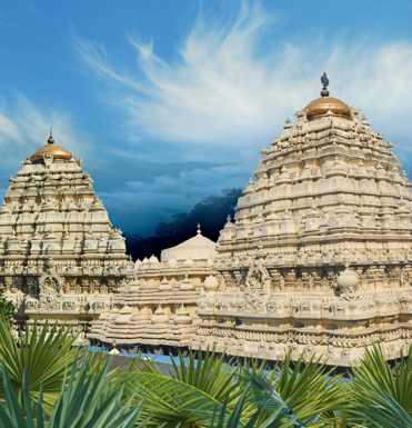 VISAKHAPATNAM - SRIKAKULAM – SRIKURMAM – VISAKHAPATNAM -TOUR