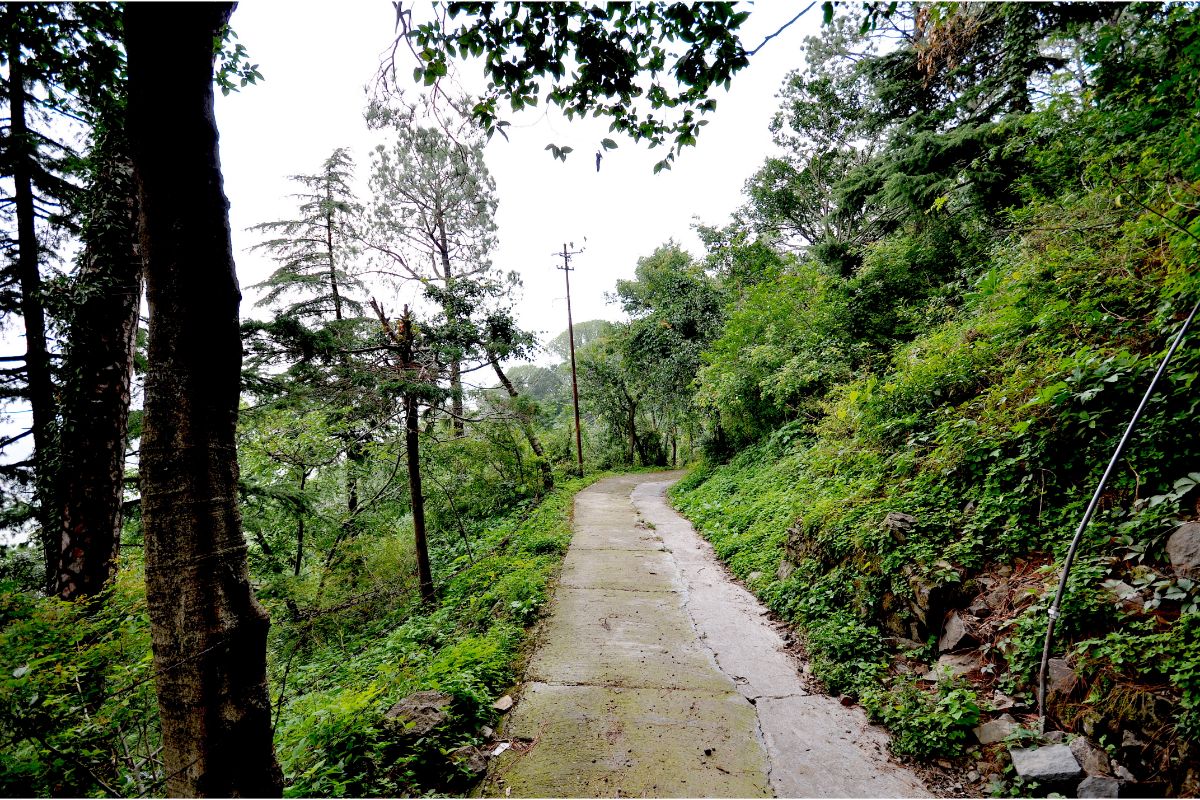 Dharamshala, Shimla Kufri Chail with Kasauli