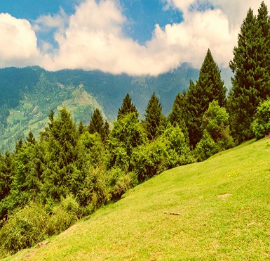 Shimla – Manali – Dharamshala – Dalhousie - Amritsar Ex- Delhi