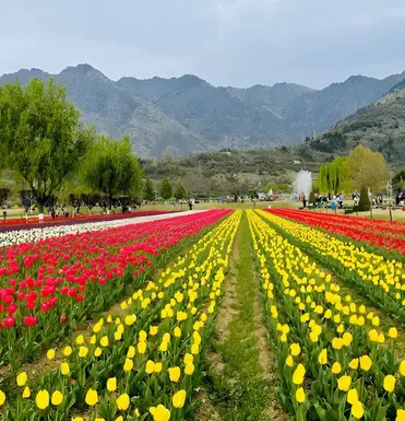 Kashmir-Vaishno Devi-Jammu Tour Ex. Srinagar